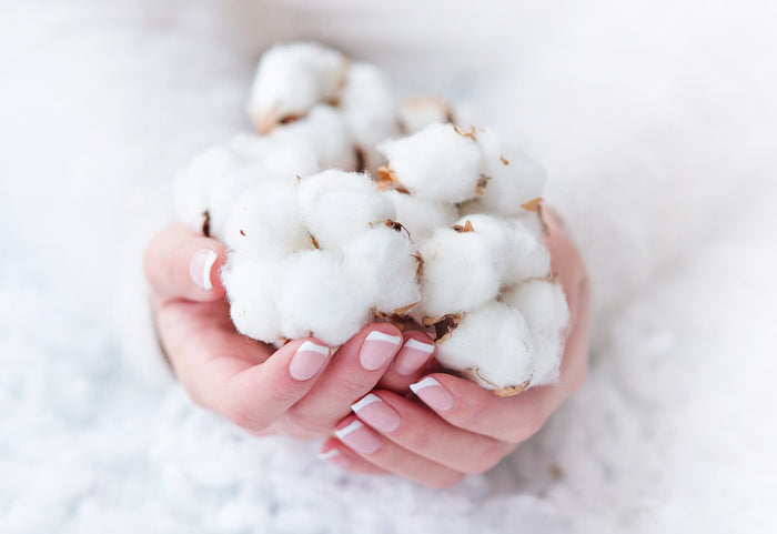 Moliciunea bumbacului 100%.