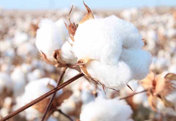 Doar ce e mai bun pentru pielea ta și pentru un somn odihnitor.