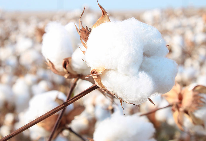 Doar ce e mai bun pentru pielea ta și pentru un somn odihnitor.