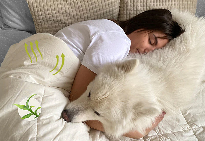 O pilotă care respiră cu tine.