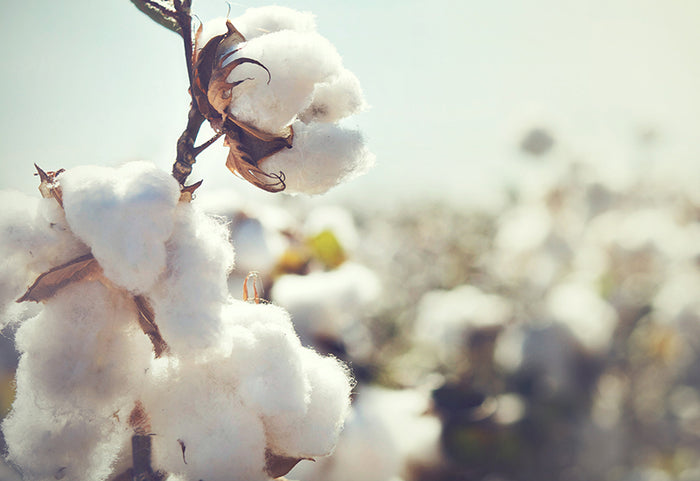 100% bumbac pentru fiecare tip de piele.