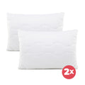 Set de 2 perne clasice Aloe Vera, 50x70 cm
