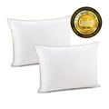 2 x pernă clasică cu pene și puf de gâscă Vitapur Finland Premium – 50 x 70 cm