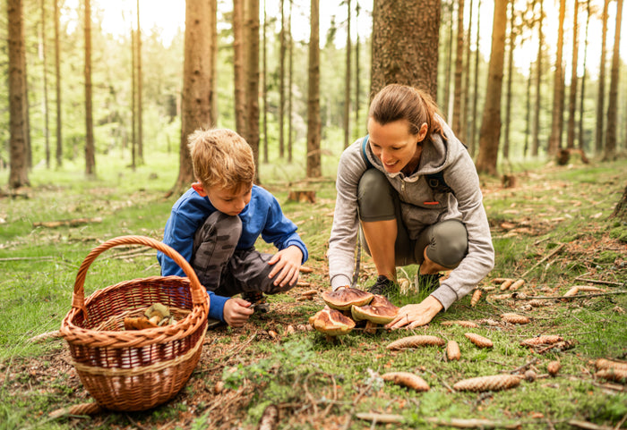 Pentru mișcare fără griji în timpul activităților nocturne