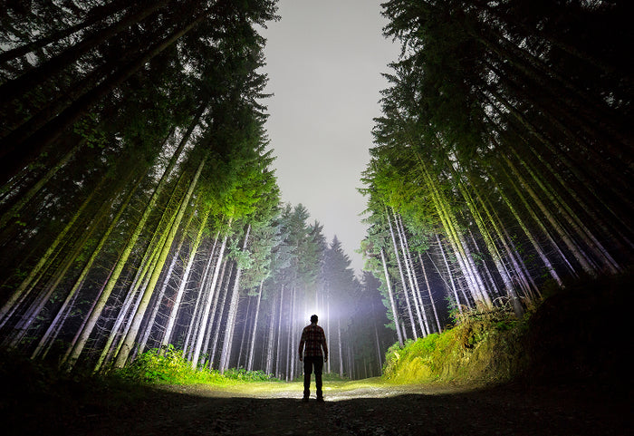 Siguranță, eficiență și aventuri fără griji